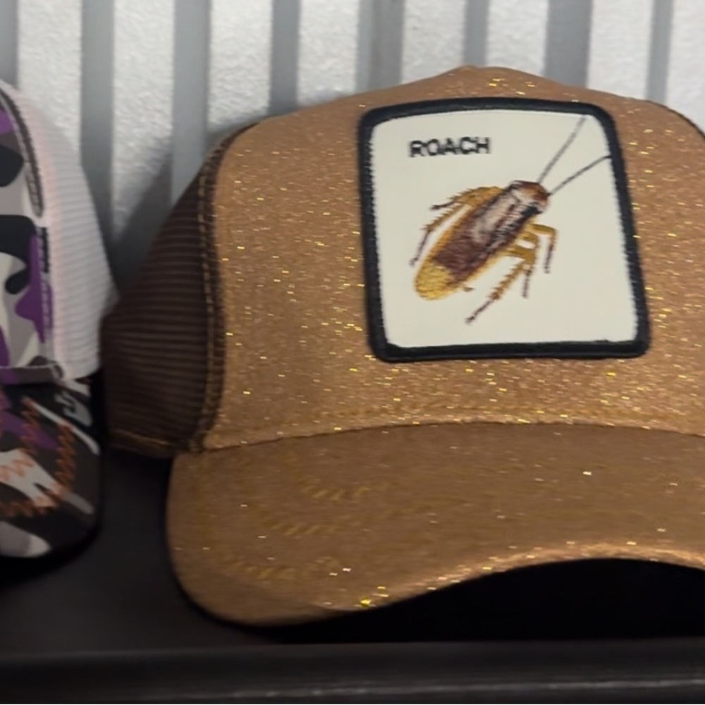 Goorin Bros Hats Single or Bundle